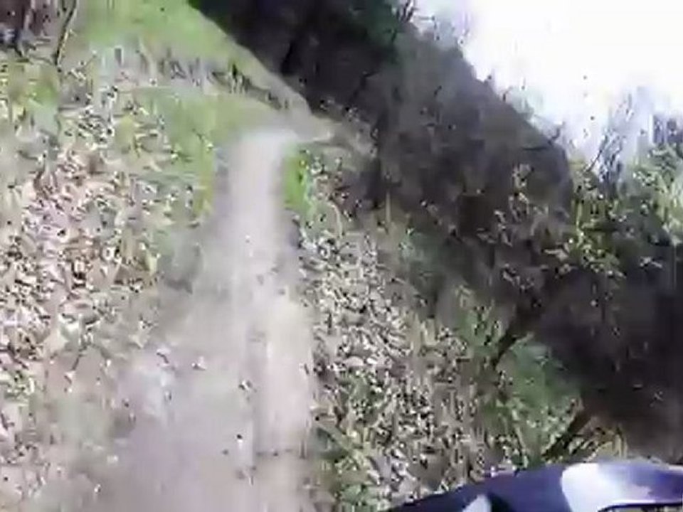 Biking at Glen Major Forest