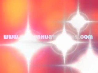 Cute Chihuahua Tilting Her Head Back and Fourth