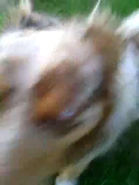VID_20120428_203115