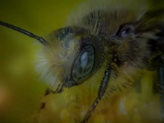 Fine Art Photography