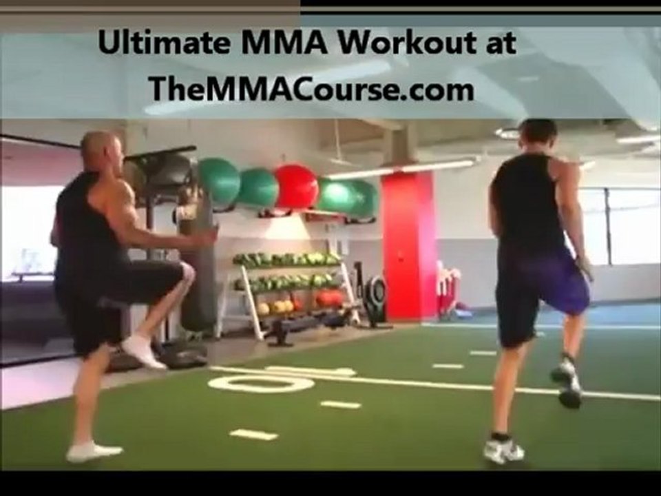 mma training bag