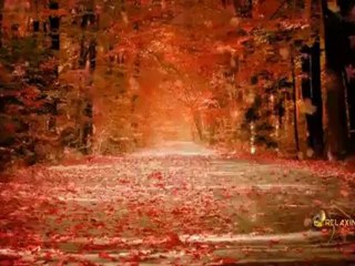 Music from Nepal sweet Good morning music [with download link]