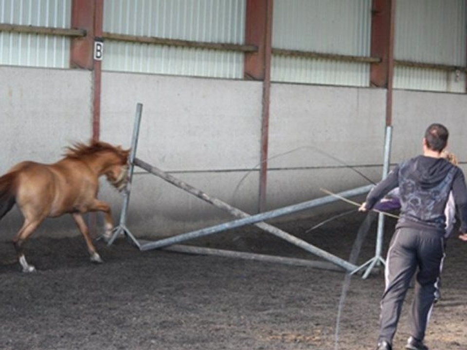 SAUT