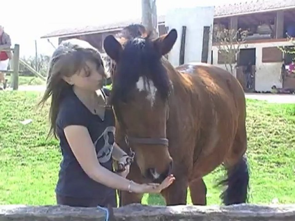 Amour de cheval. ♥