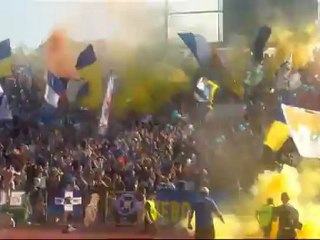 Фенове Левски