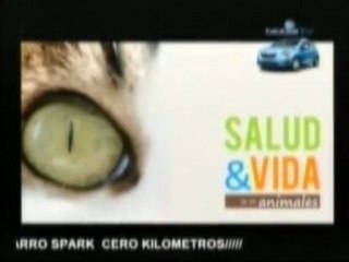 SALUD Y VIDA DE LOS ANIMALES...DR CHICA...MANIIZALES...INDIA...+57 3115021449...