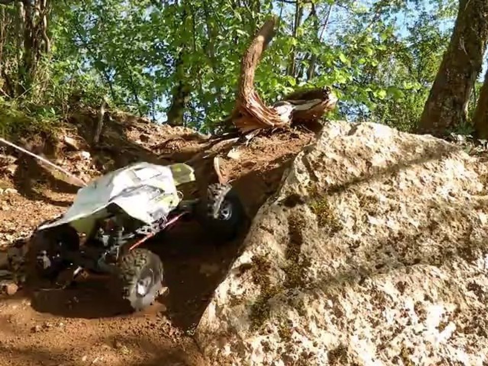 crawler_cool0