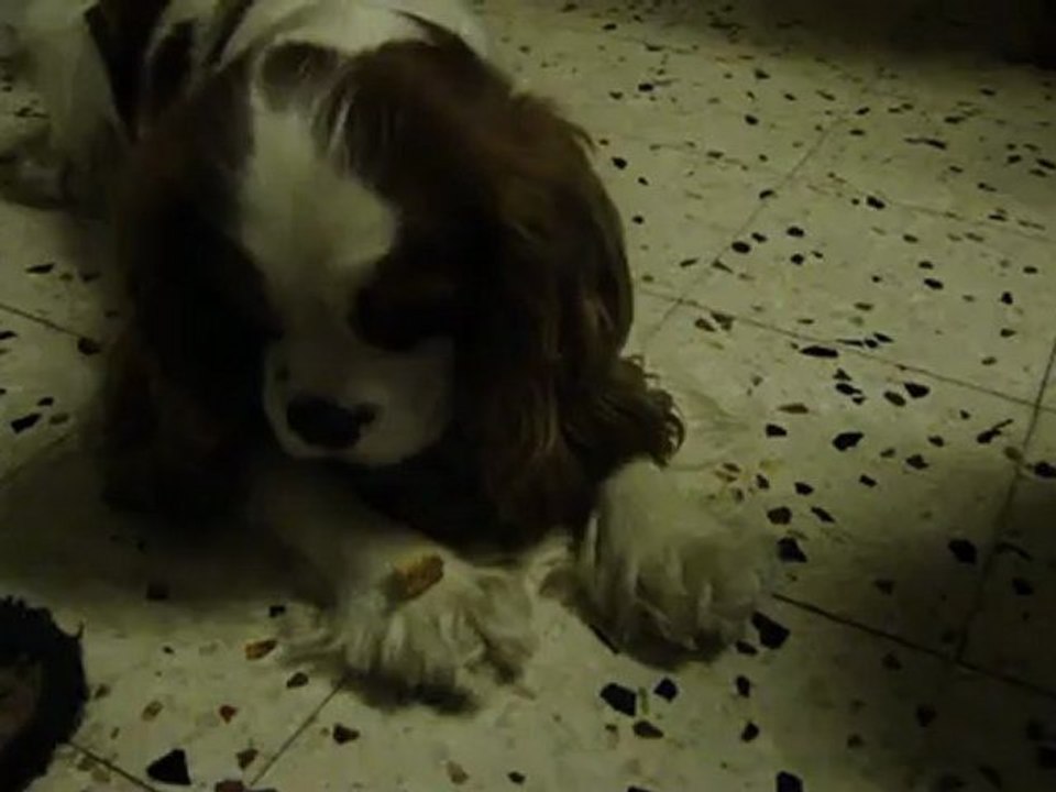 Flash