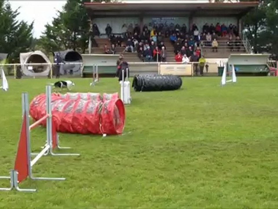 Dako SGPF