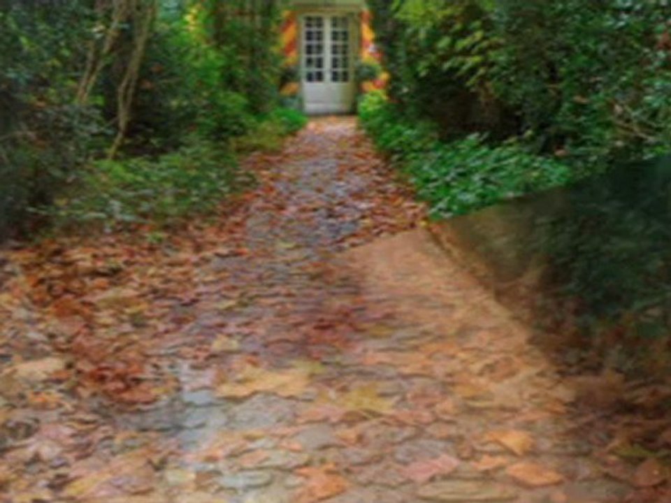 ERKAN UĞUR-Seher yeli