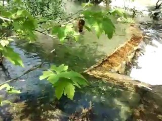 İDA-KAZDAĞLARI AKÇAY DOSTLUK GRUBU MIHLI ÇAYI VİDEO 1 -- 29 NİSAN 2012