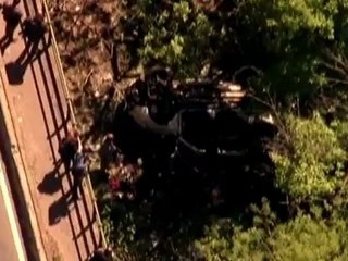 Van plunges into NY's Bronx Zoo, killing seven