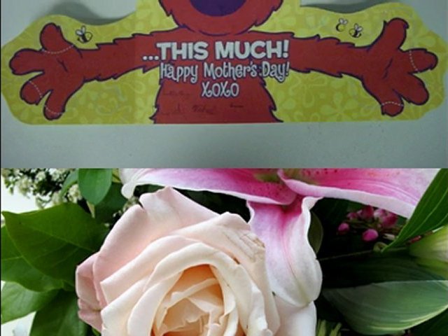 Mothers Day Gift Ideas