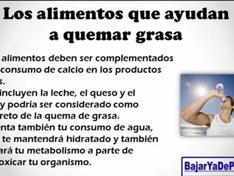 alimentos que ayudan a quemar grasa