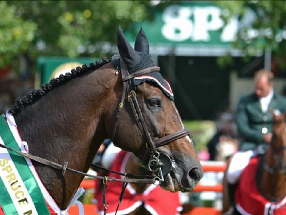 Remembering Hickstead