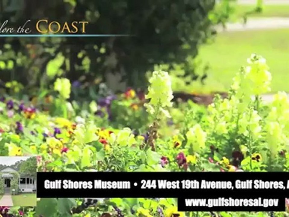 Explore the Coast of Gulf Shores & Orange Beach