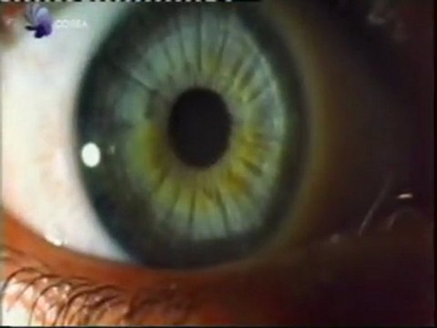 Comunicacion visual: El blanco de los ojos