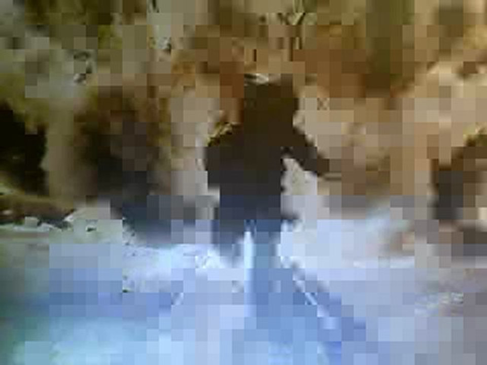 Bagdad 2011 Bande Annonce