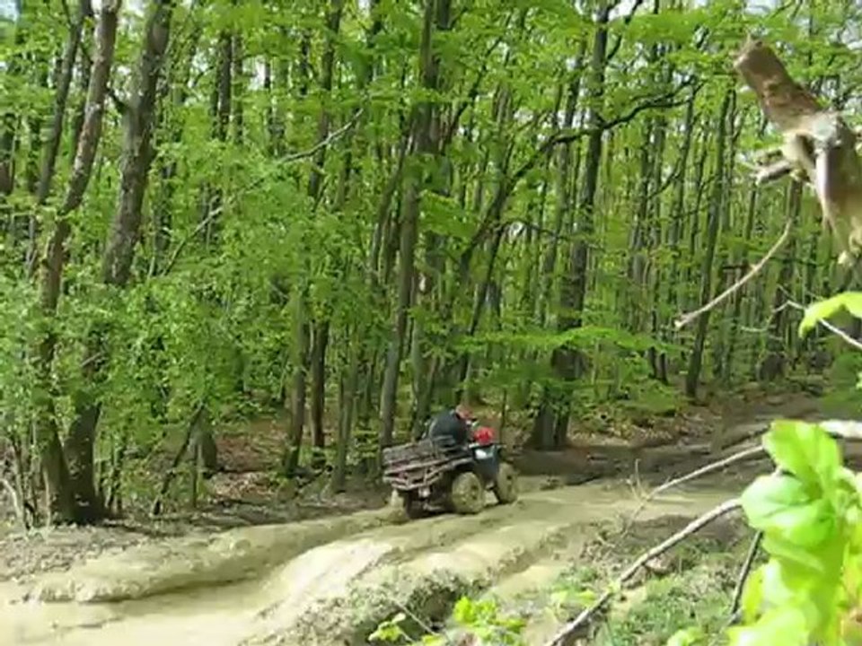 800 SPORTSMAN ROMU