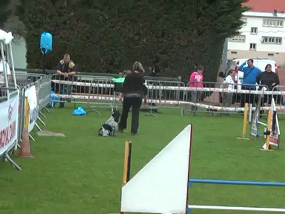 Championnat de lorraine Agility 2012 C'ven