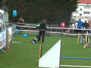 Championnat de lorraine Agility 2012 C'ven