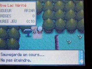 Capture de Tiplouf / piplup en 5069 reset