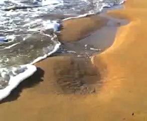 WALTZ FOR PEPPY THE ARTIST/les airs du temps/adrien Moran