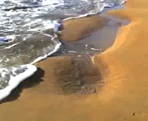 UNA MATINA - LES INTOUCHABLES /les airs du temps/Adrien Moran