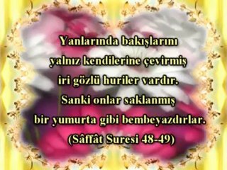 cennet ve cehennem -  (2)