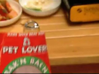 attic_cat_-_04_part_1