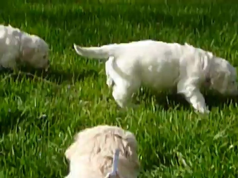 premiere soirtie des BéBés suite le 30 avril 2011