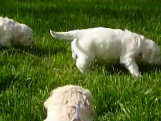 premiere soirtie des BéBés suite le 30 avril 2011