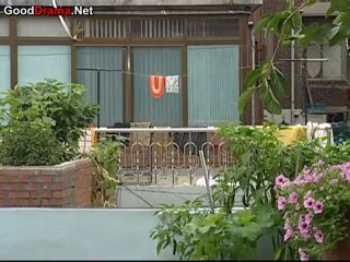 attic_cat_-_09_part_1