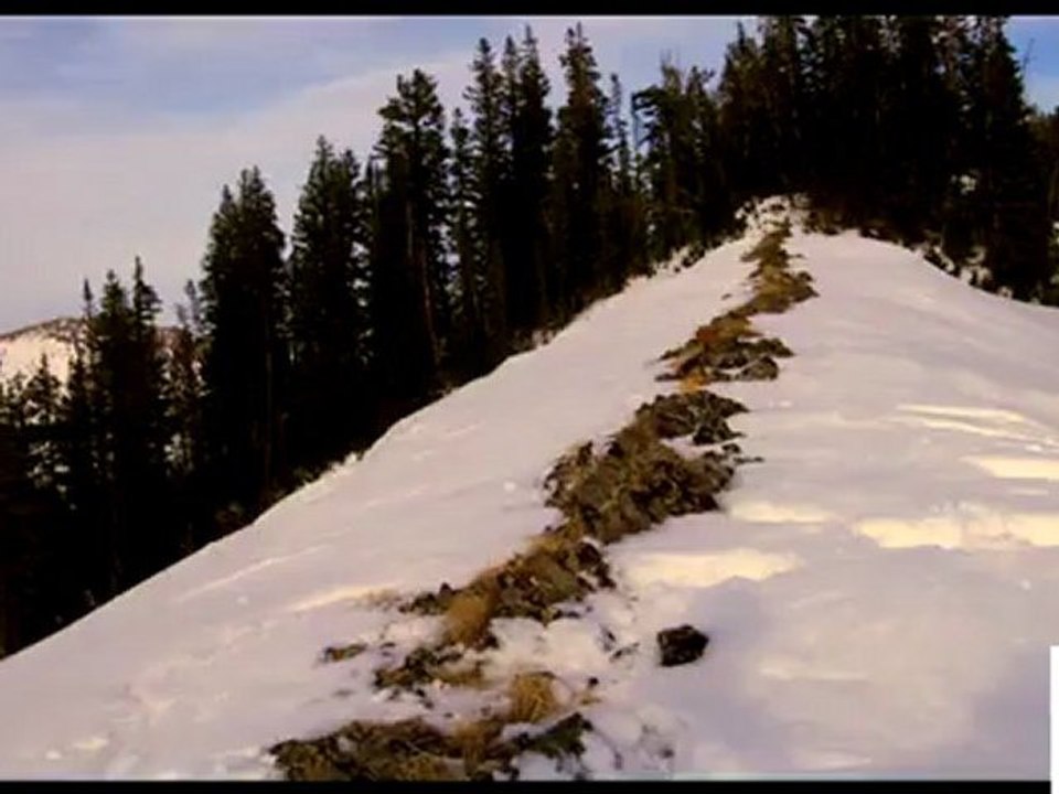 509 FILMS  Jay Mentaberry - Teaser