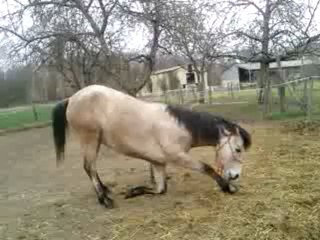 Delire Avec mon chou