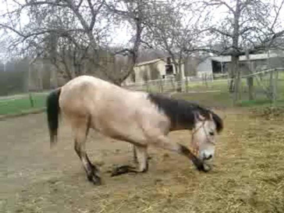 Delire Avec mon chou