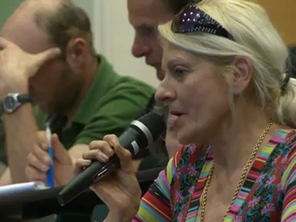 Liaison sud : extrait de la réunion publique "Mobilités et activités humaines"