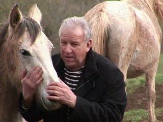 New fertilizer revolutionizes French agriculture