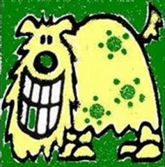 The Happy Dog Project feat. Nasia Gofa - Έφυγες (unreleased)