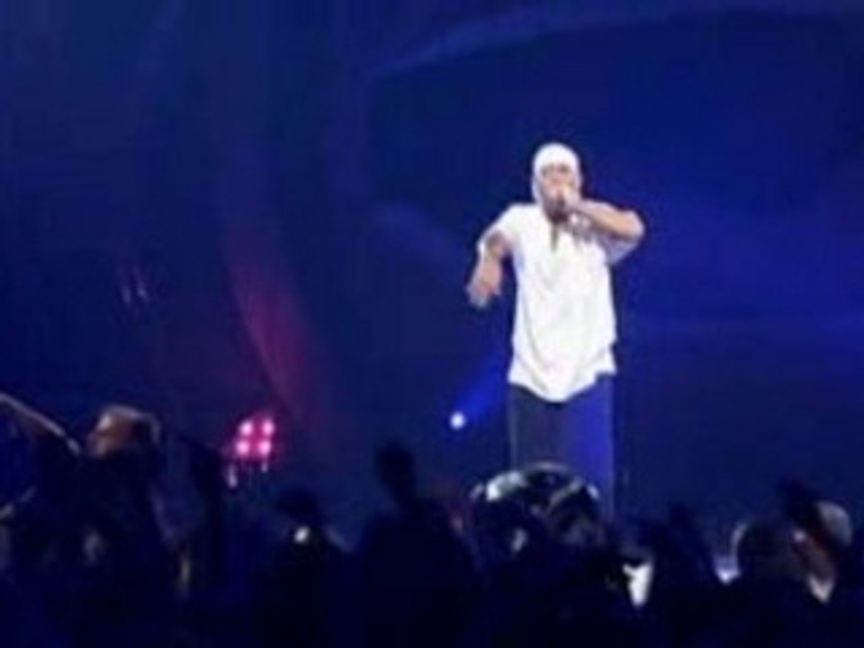 The Eminem Show
