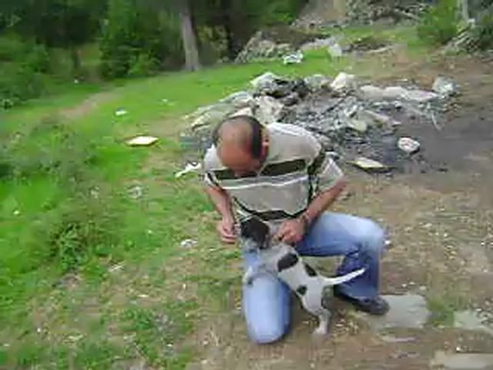 MOV07052