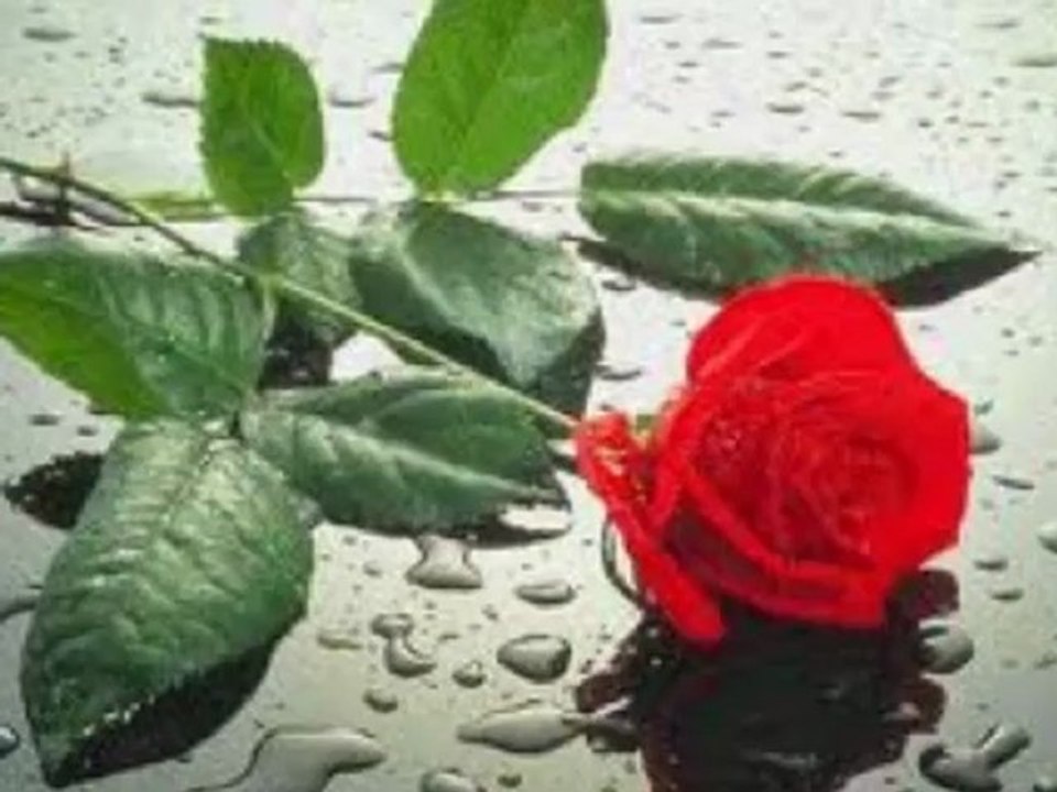 EYÜP ÖZTEKİN-KISKANIRIM TABİKİ