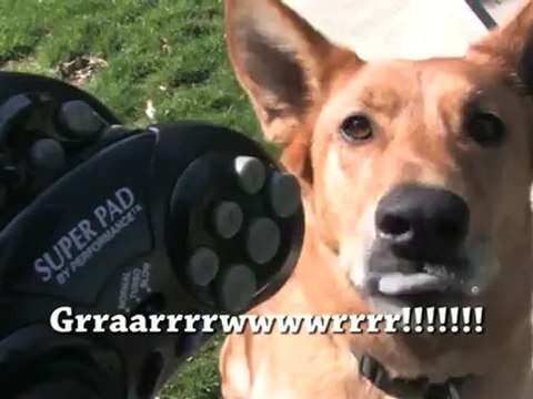 Classic Game Room - SEGA GENESIS SUPER PAD controller review