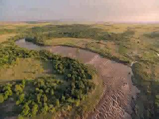 African Cats Kingdom of Courage Part 1 HD Quality