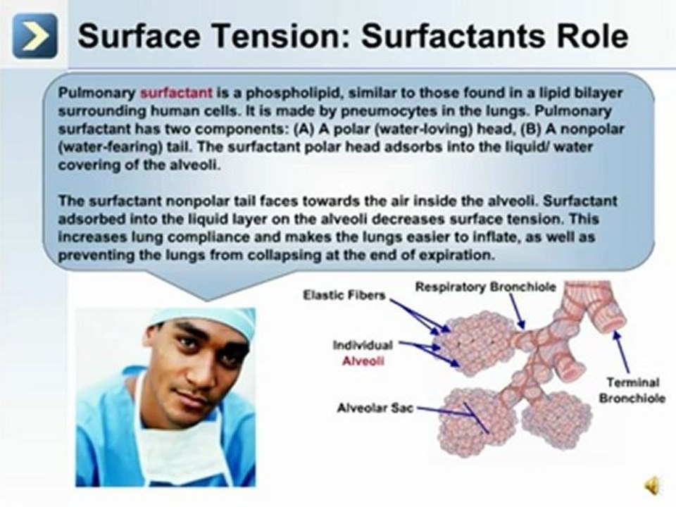 The Respiratory System - Part 4 of 4