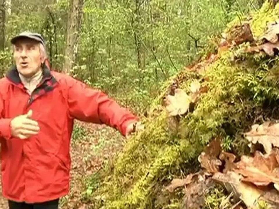 Les cadoles: visite du patrimoine caché (Les Riceys)