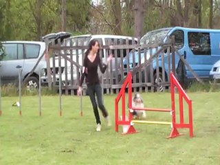 ADES DEGRE champ regional 29042012