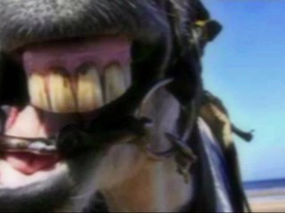 parodie de la petite annonce JOLY JUMPER HD