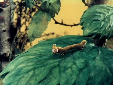 Что такое Новый год-Кто придет на Новый год