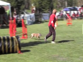 RISKY JUMPING champ regional 29042012